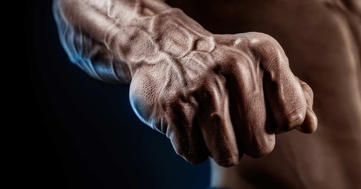 Image for The 9 Best Hand Grips for Improving Finger Strength