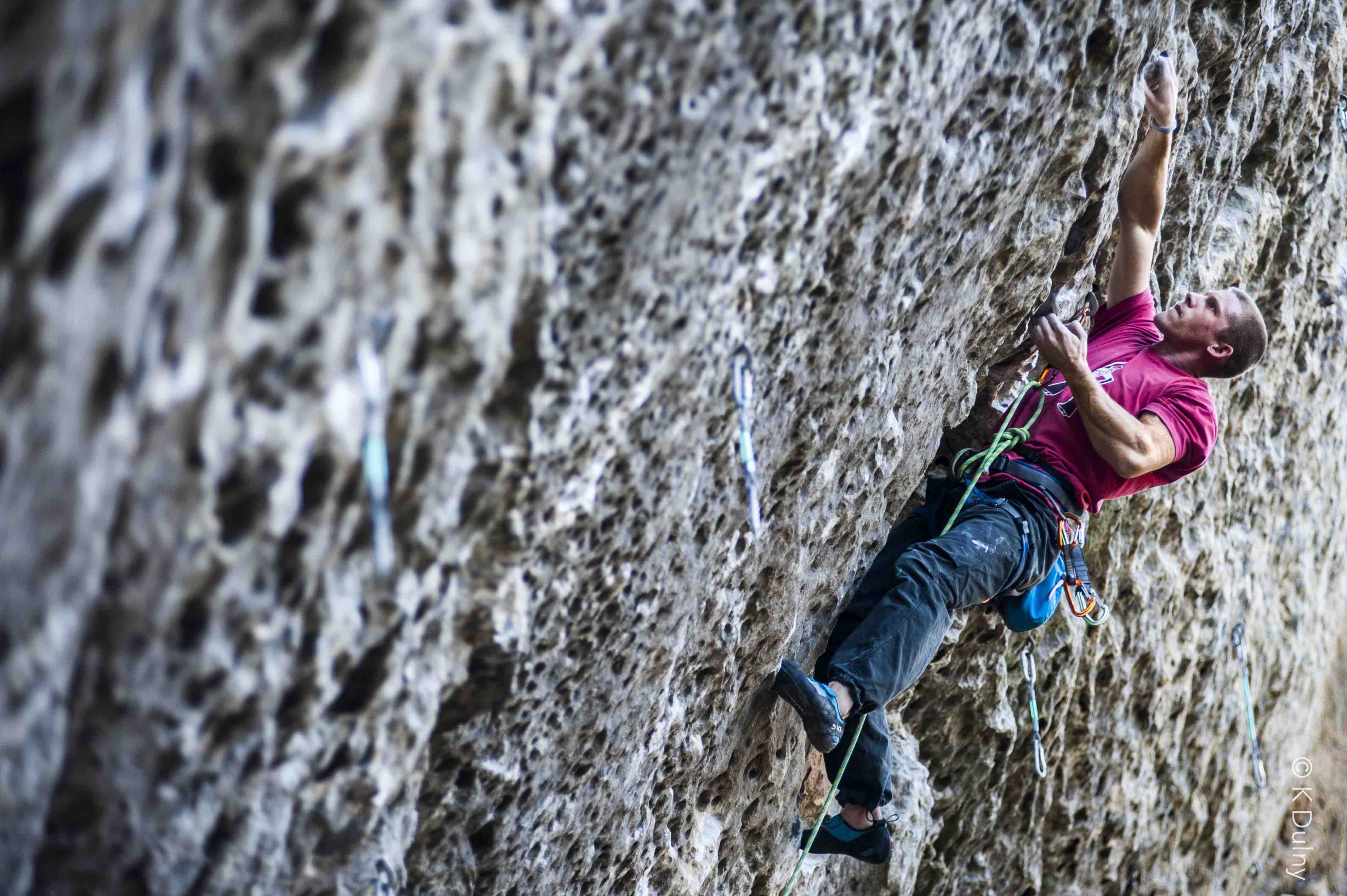 Image for Michael Hauck