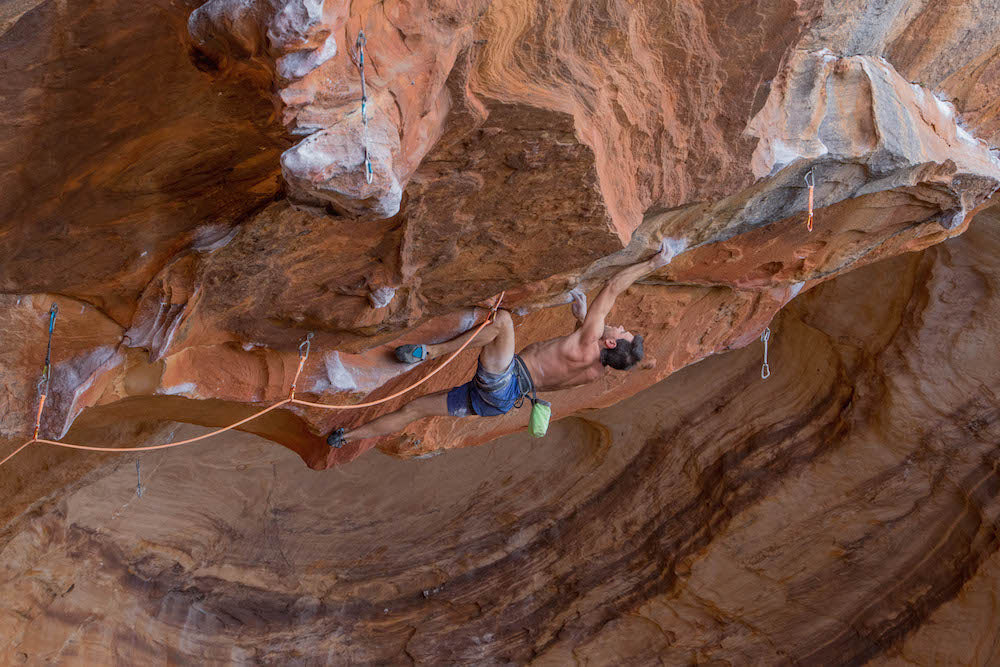 Image for Josh Larson