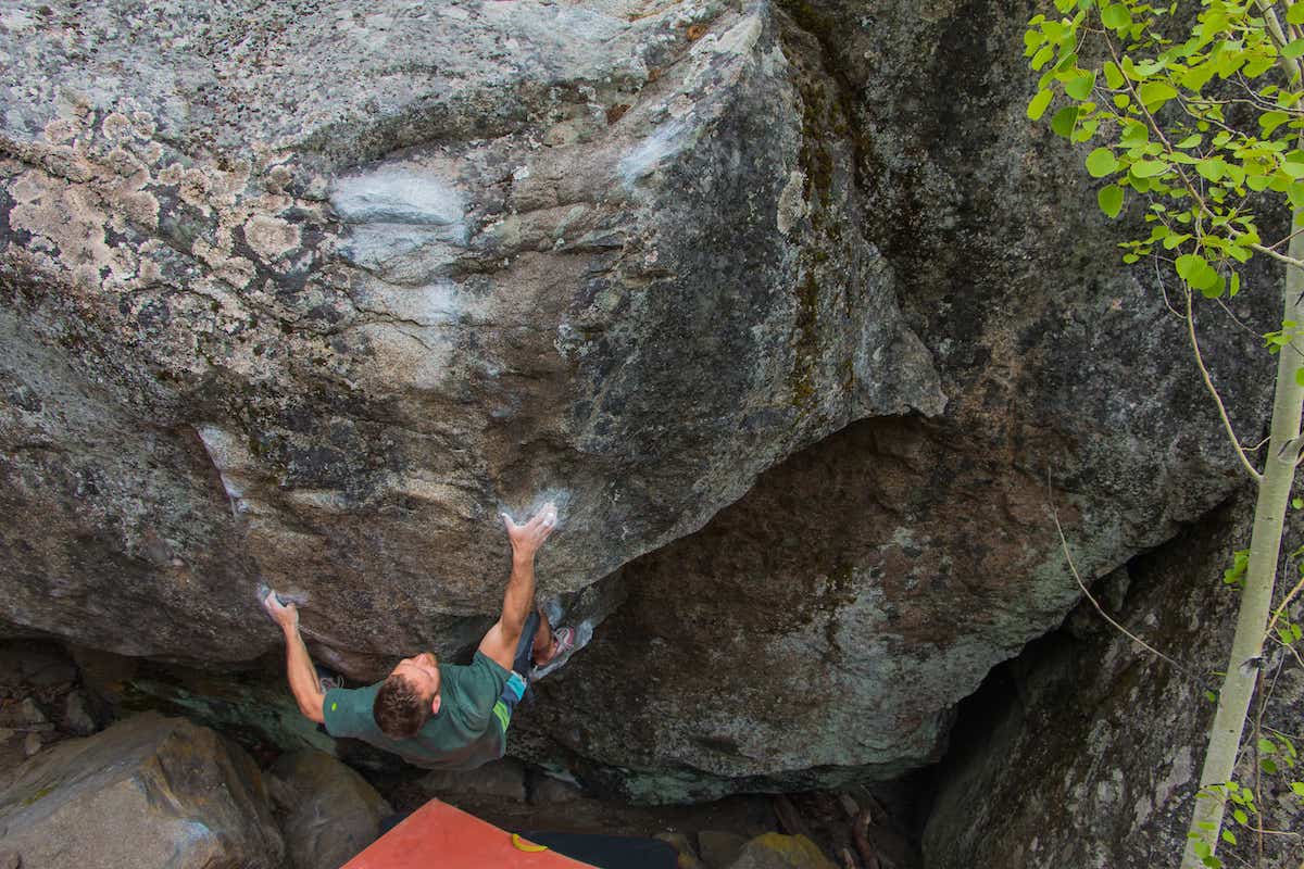 Image for Matt Pincus