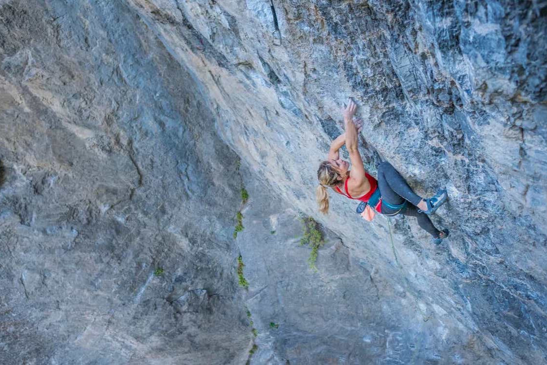 Image for Lizzy Ellison